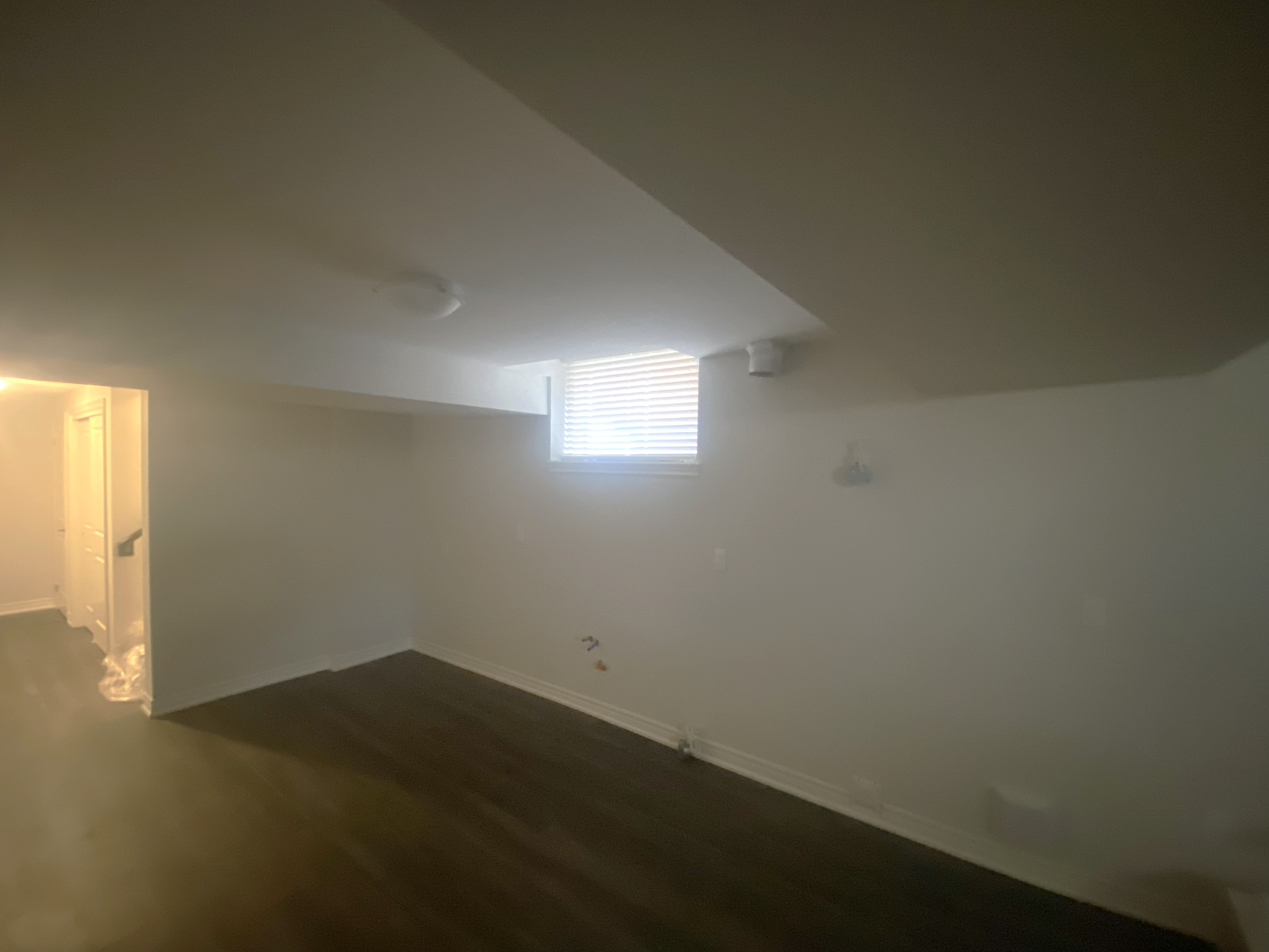 Basement Before
